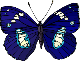 Papillon clipart #11, Download drawings
