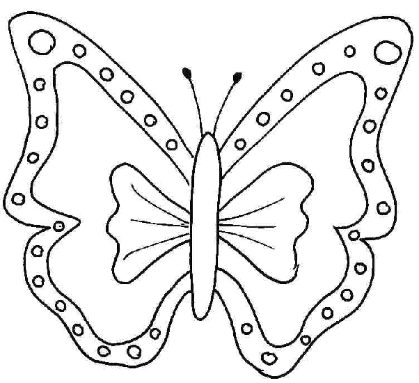 Papillon coloring #15, Download drawings
