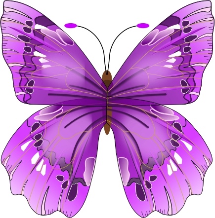 Papillon svg #16, Download drawings