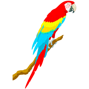 Parrot svg #14, Download drawings