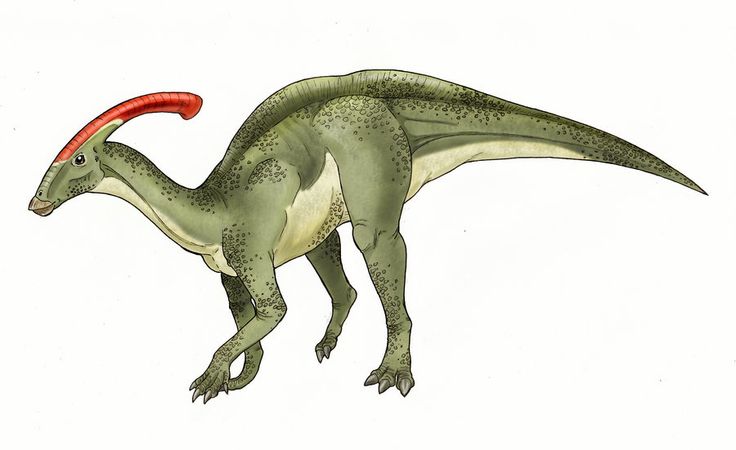 Parasaurolophus clipart #7, Download drawings