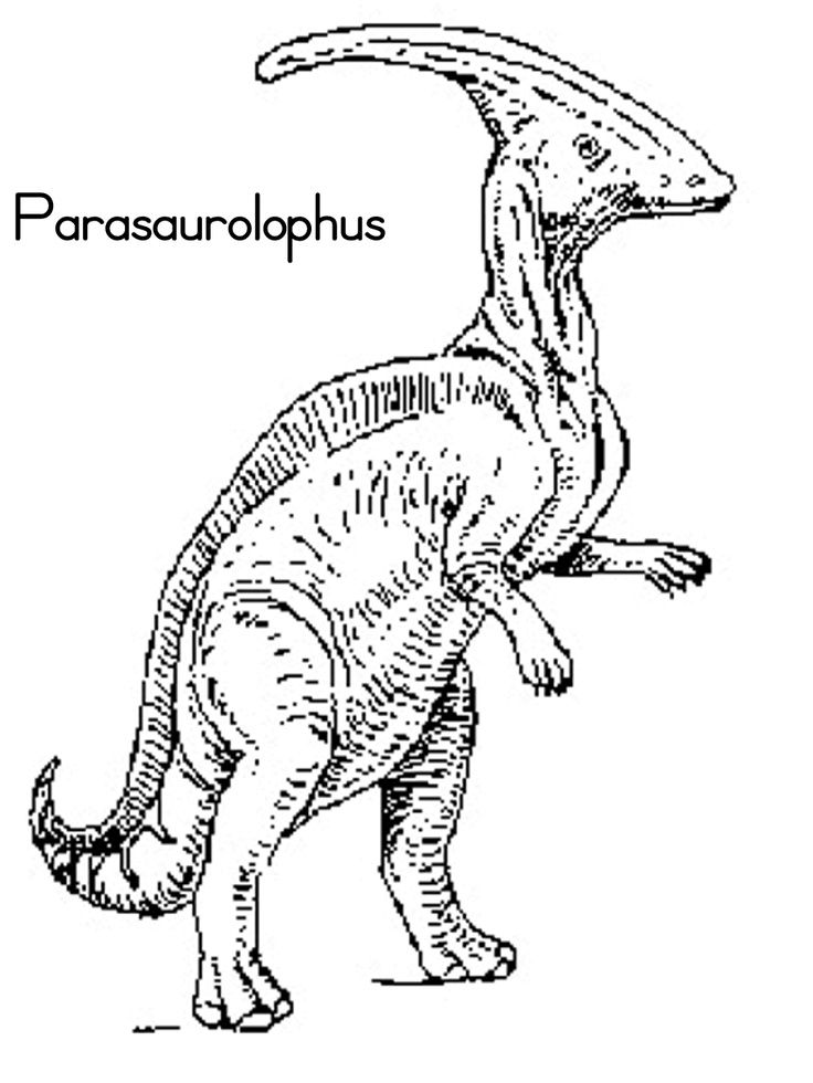 Parasaurolophus coloring #13, Download drawings