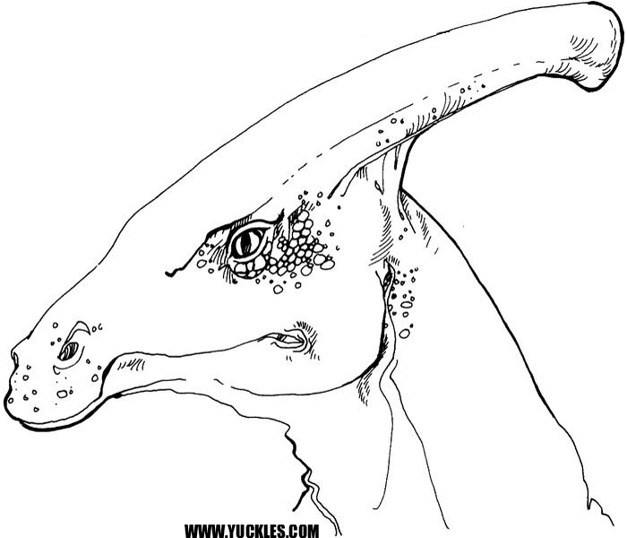 Parasaurolophus coloring #15, Download drawings