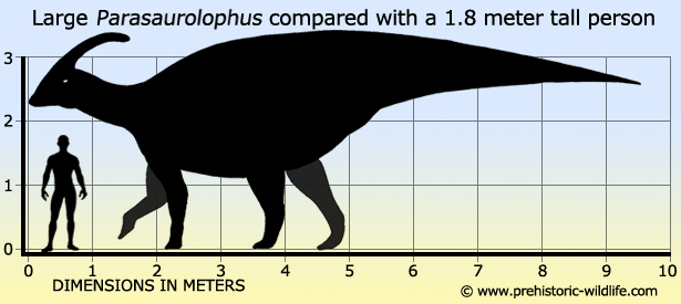 Parasaurolophus svg #12, Download drawings
