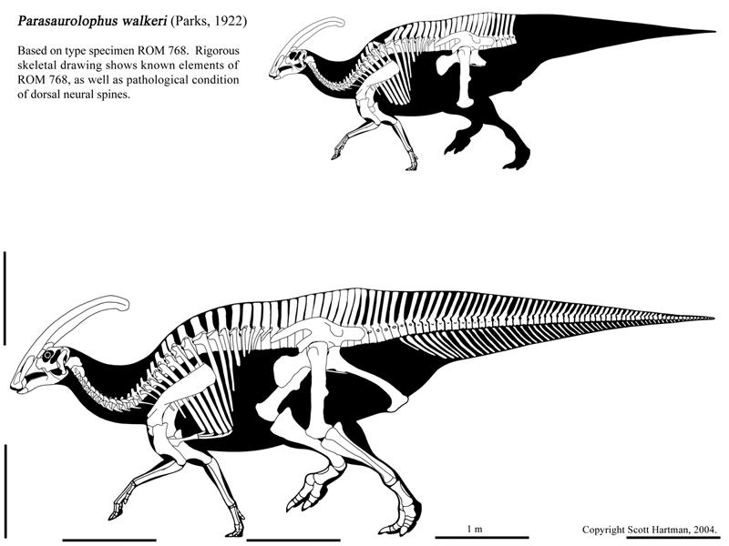Parasaurolophus svg #8, Download drawings