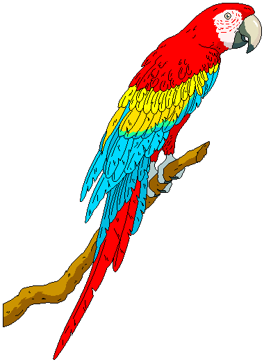 Parrot clipart #16, Download drawings