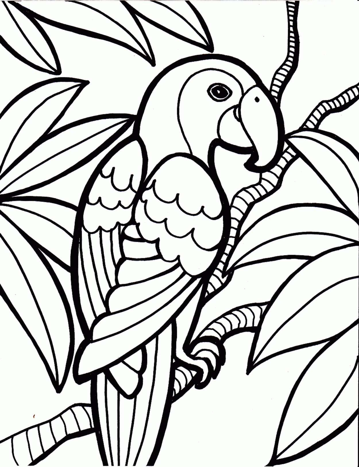 Parrot coloring #6, Download drawings