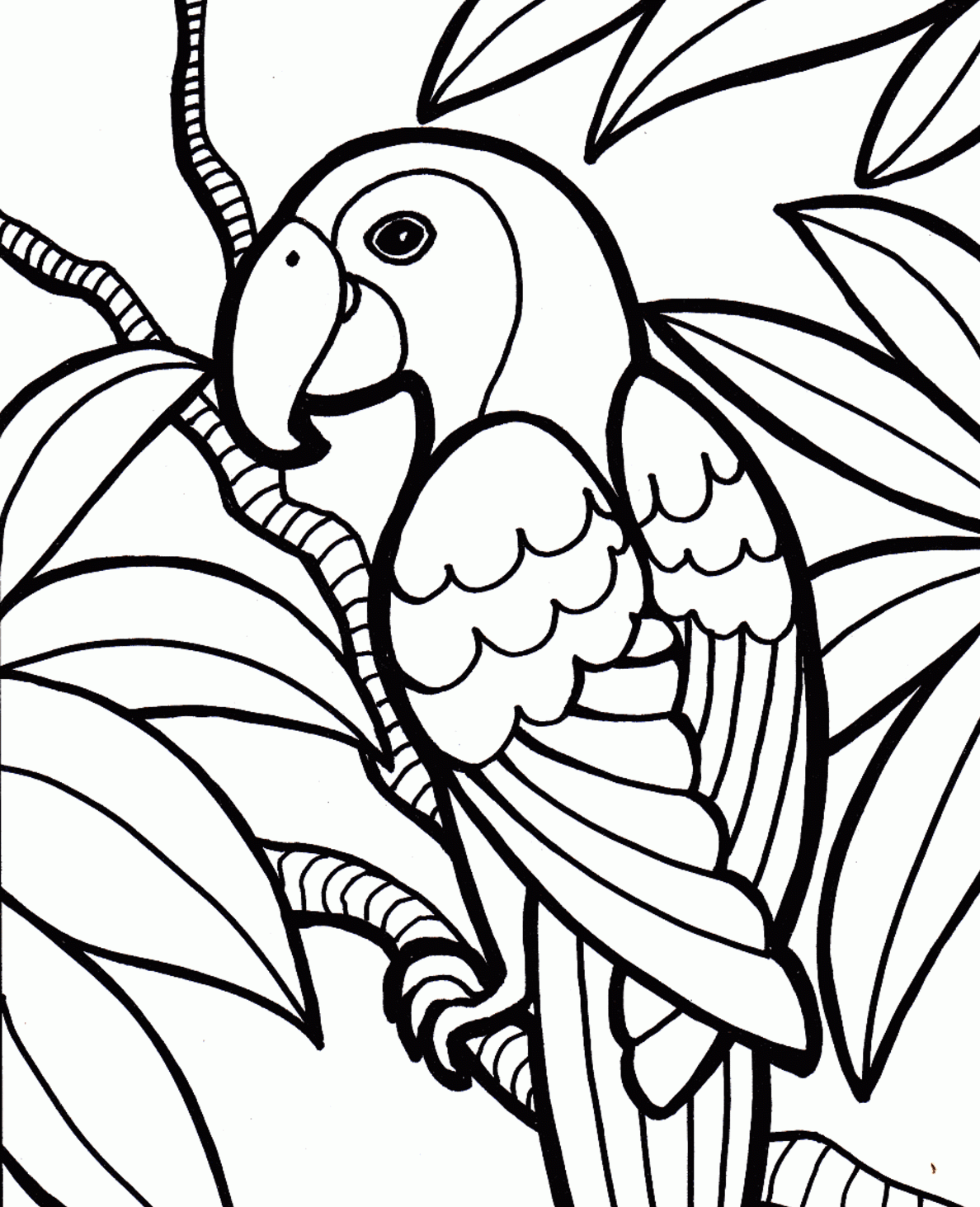 Parrot coloring #8, Download drawings