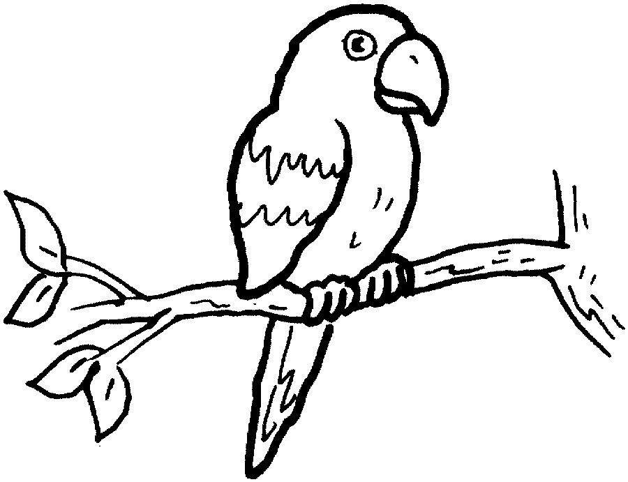 Parrot coloring #18, Download drawings