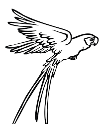 Parrot svg #1, Download drawings