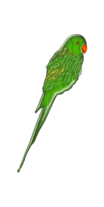 Parrot svg #4, Download drawings