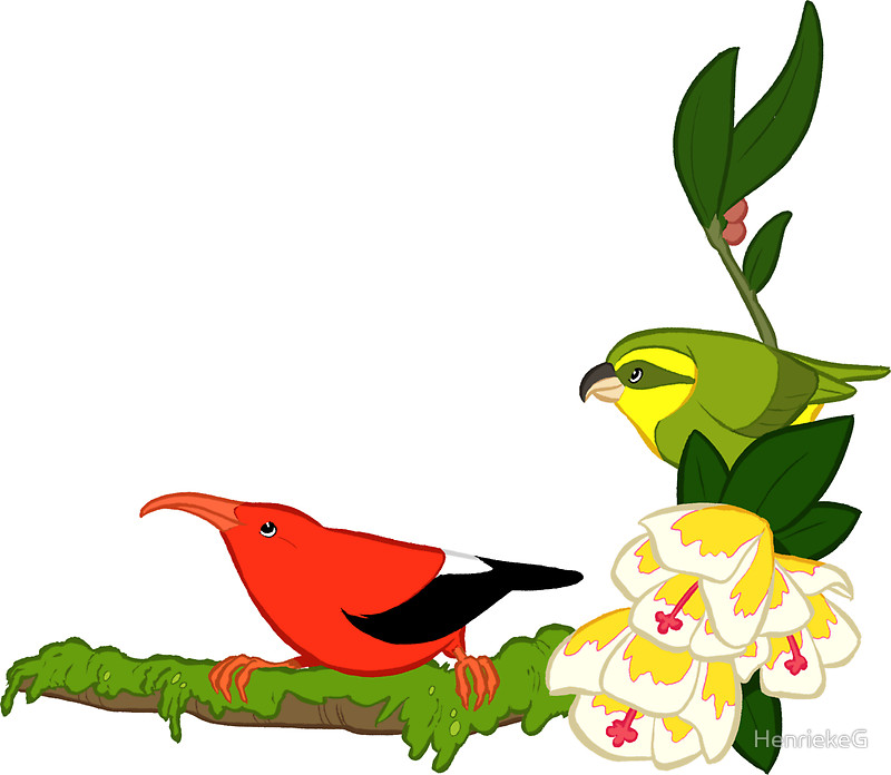Parrotbill clipart #20, Download drawings