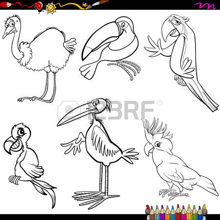 Parrotbill coloring #18, Download drawings