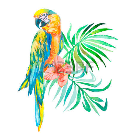 Parrotbill coloring #12, Download drawings