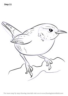 Waxwing svg #16, Download drawings