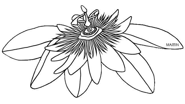 Passion Flower clipart #6, Download drawings