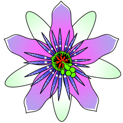 Passion Flower clipart #3, Download drawings