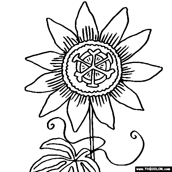 Passion Flower coloring #1, Download drawings