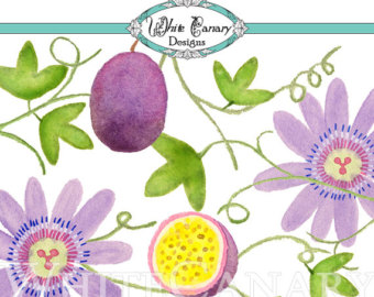 Passion Flower svg #10, Download drawings