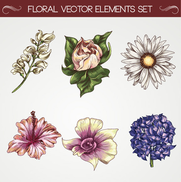 Passion Flower svg #6, Download drawings