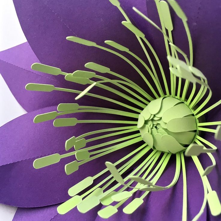 Passion Flower svg #12, Download drawings