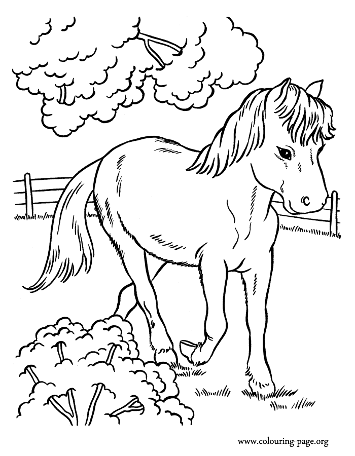 Pasture coloring #11, Download drawings