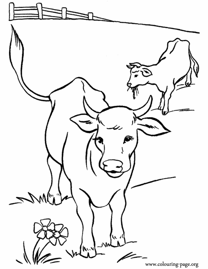 Pasture coloring #18, Download drawings