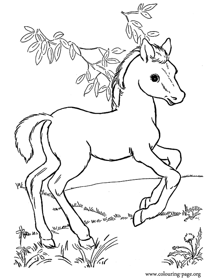 Pasture coloring #14, Download drawings
