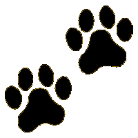 Paw clipart #1, Download drawings