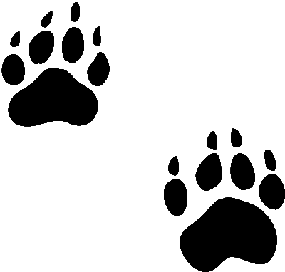 Paw Prints clipart #7, Download drawings