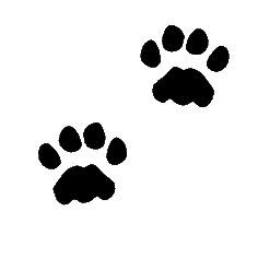 Paw Prints clipart #10, Download drawings