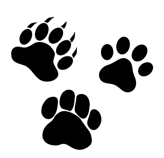 Paw svg #8, Download drawings
