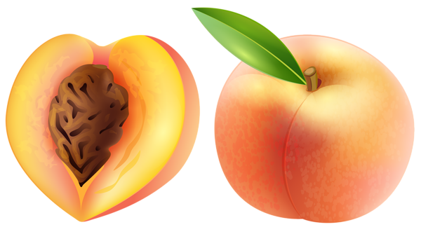 Peach clipart #10, Download drawings