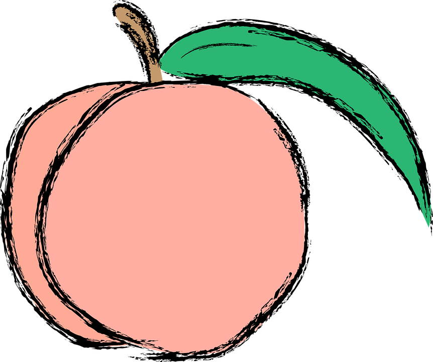 Peach (color) svg #9, Download drawings