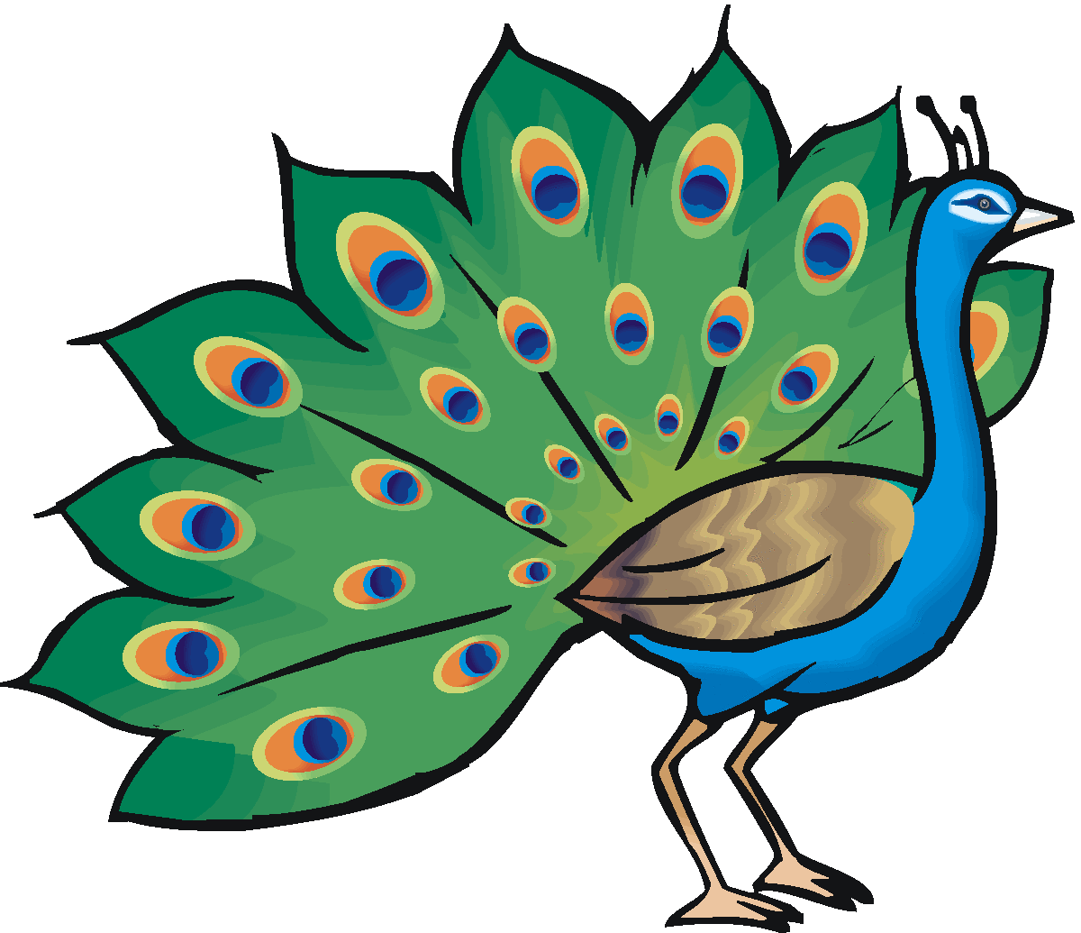 Peafowl clipart #20, Download drawings