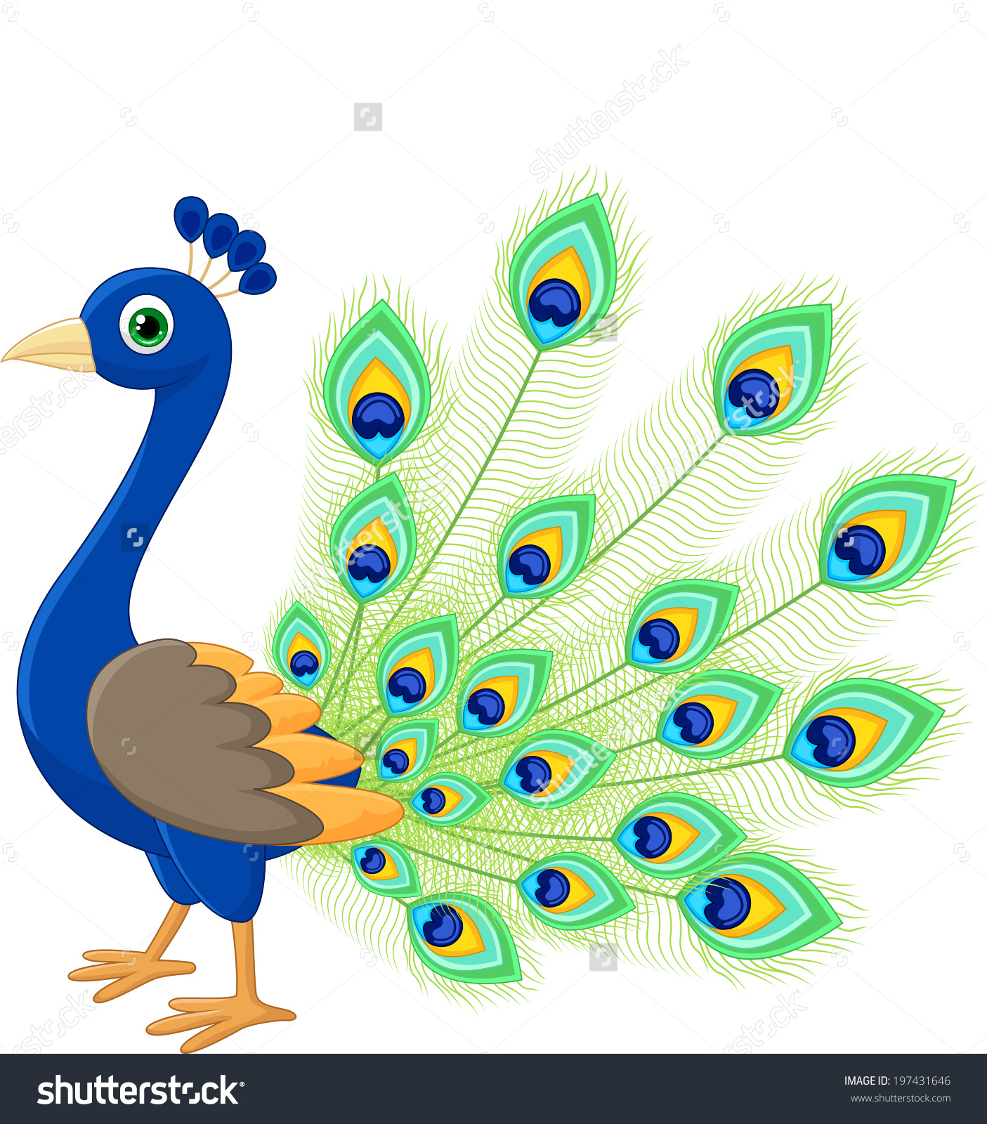 Peacock clipart #13, Download drawings