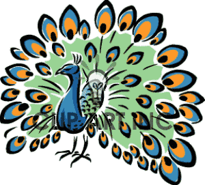 Peacock clipart #17, Download drawings