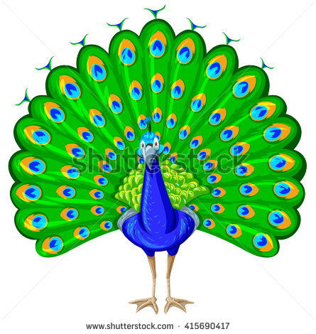 Peacock clipart #8, Download drawings