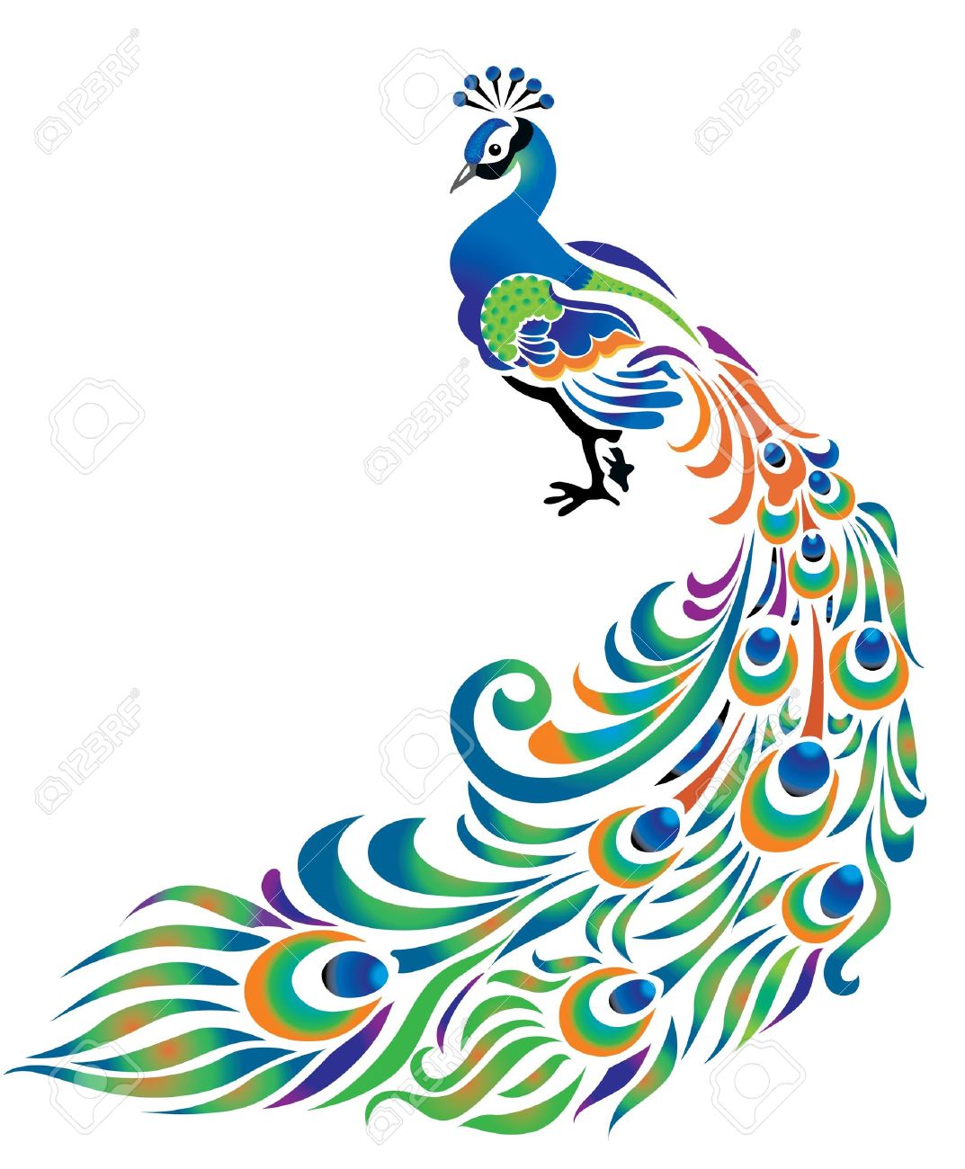 White Peafowl clipart #19, Download drawings