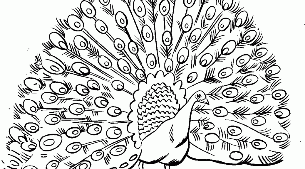 Peacock coloring #11, Download drawings