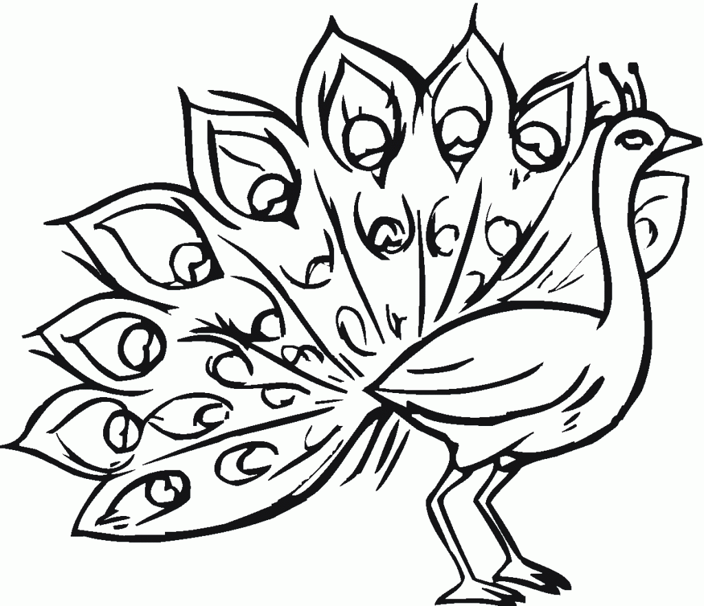 Peacock coloring #17, Download drawings