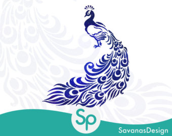 Indian Peafowl svg #12, Download drawings