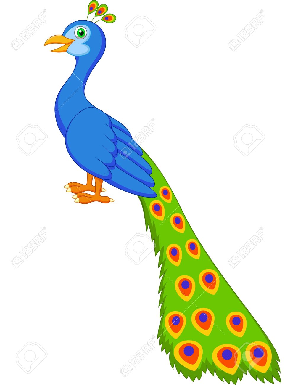 Peafowl clipart #5, Download drawings
