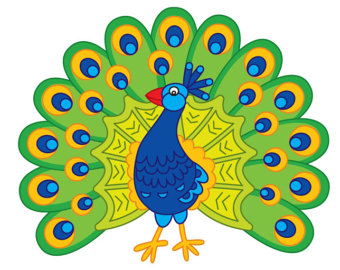 Peafowl clipart #12, Download drawings