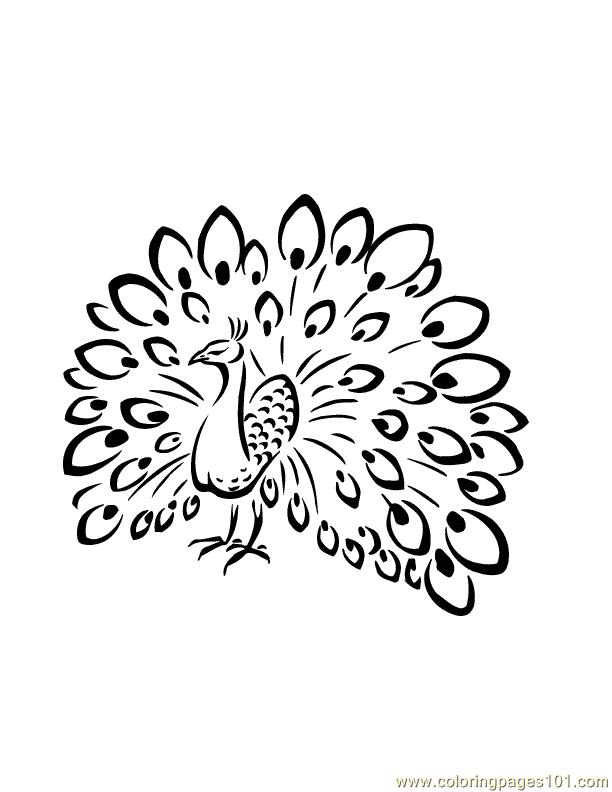 Peafowl coloring #15, Download drawings