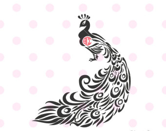 White Peafowl svg #19, Download drawings