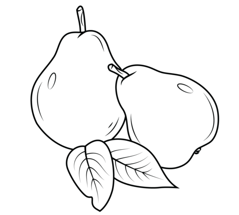 Pear coloring #14, Download drawings