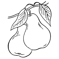 Pear coloring #19, Download drawings