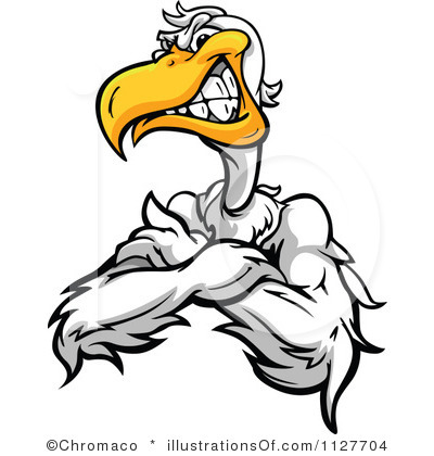 Pelican clipart #2, Download drawings
