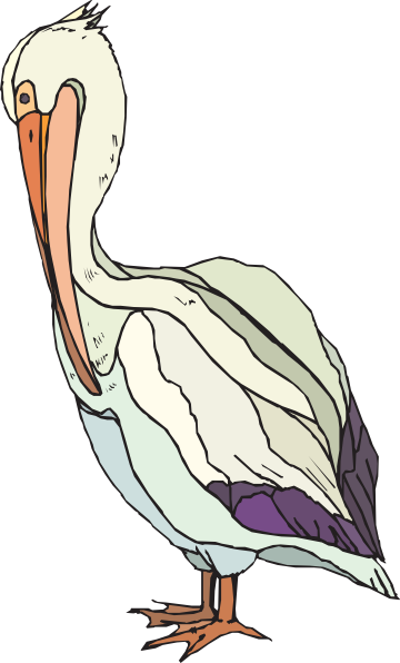 Pelican clipart #13, Download drawings
